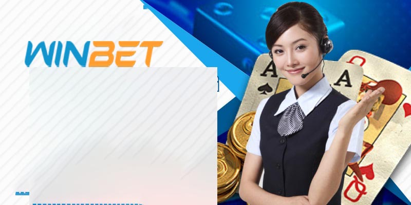 Các Dịch Vụ Chính Của Winbet